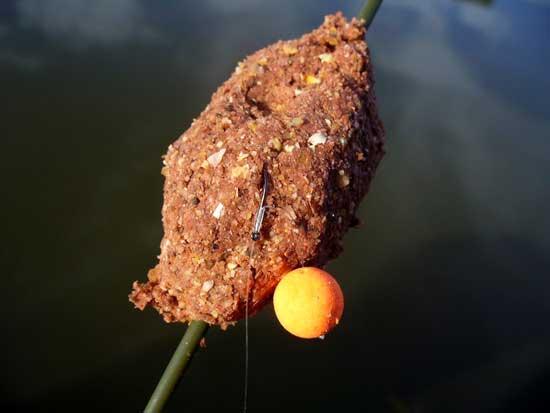 pescuit  - poza-13.jpg